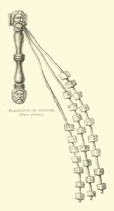 Flagellum ou Fouet - English School