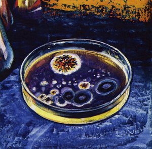 Fleming a remarqué qu