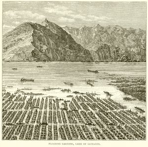 Jardins flottants, lac de Srinagur