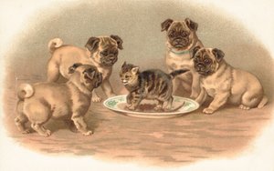 Quatre chiens carlins assis autour d