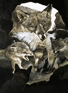 Renard apportant de la nourriture à ses petits - English School