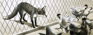 Un renard à l