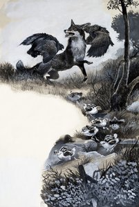 Fox attaqué