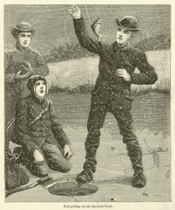 Fred tirant la truite mouchetée (gravure)