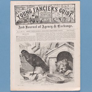 Frontispice de The Young Fanciers Guide, 1874 - English School