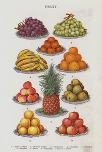 Fruit (chromolitho) - English School