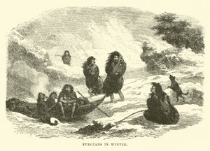 Fuegiens en hiver - English School