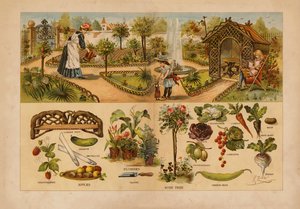 Jardin - English School
