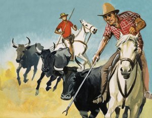Gardiens de la Camargue