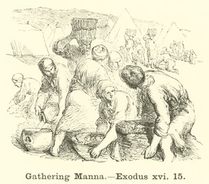 Récolte de la manne, Exode, xvi, 15 - English School
