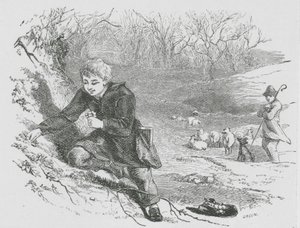 Cueillette de primevères (gravure) - English School