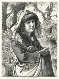 Cueillir les fleurs sauvages (gravure) - English School