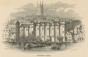 Vue générale du château de Baynards - English School