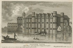 Vue générale du château de Baynards - English School