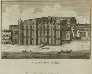 Vue générale du château de Baynards - English School