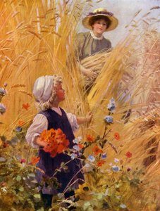 Fille cueillant des coquelicots dans un champ de blé tandis qu