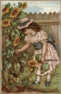 Fille cueillant des tournesols dans un jardin