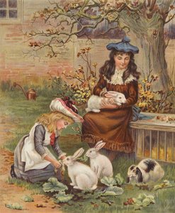 Filles prenant soin de leurs lapins de compagnie - English School