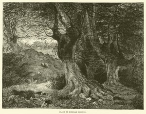 Clairière à Burnham Beeches (gravure) - English School