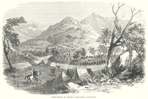 Champs aurifères du Mont Alexander, Australie (gravure)