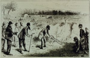 Golf - English School