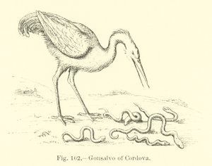 Gonsalve de Cordoue