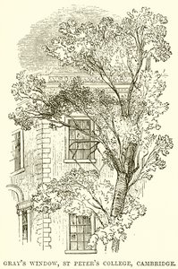 Fenêtre de Gray, St Peter