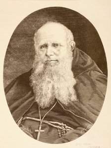 Guglielmo Massaia (lithographie) - English School