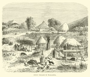 Village gitan en Valachie - English School