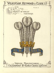 Plumes du prince de Galles