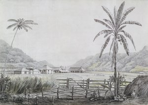 Halse Hall, Jamaïque, vers 1780 - English School