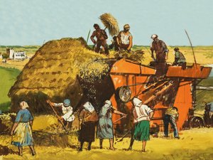 Récolte de blé - English School