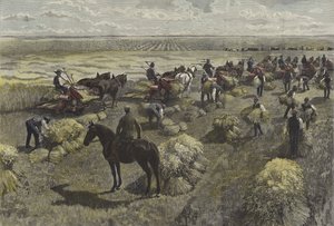 Récolte de blé dans les plaines nord-américaines - English School