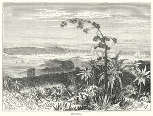 La Havane (gravure) - English School