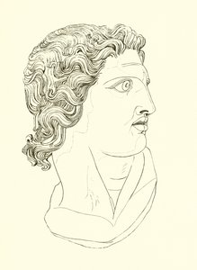Tête, affichant vigueur virile et résolution héroïque - English School