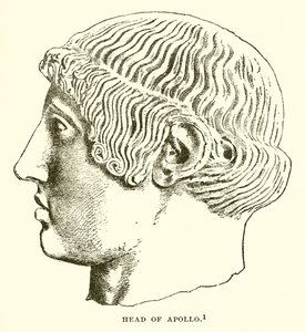Tête d