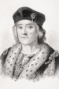 Henri VII d