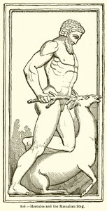 Hercule et la biche de Maenalie - English School