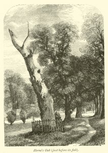 Chêne de Herne, juste avant sa chute