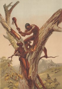 Chasseurs de miel, Zambézie - English School