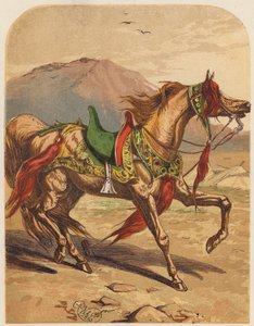 Cheval