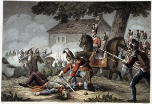 Garde à cheval sur le champ de bataille de Waterloo dans «Anecdotes historiques, militaires et navales et incidents arrivés aux armées britanniques et à leurs alliés, se terminant à Waterloo» par Edward Orme. Ill. par Fry, Sutherland, Clark, Dubourg, W.Hea - English School