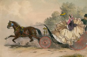 Cheval et voiture à grande vitesse avec une dame au fouet ; prostitution - English School