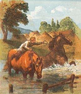 Chevaux buvant dans un étang - English School