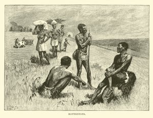 Hottentots - English School