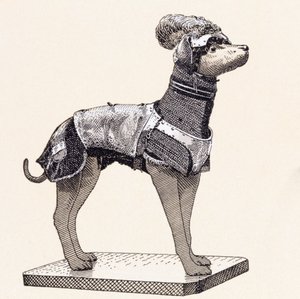 Chien en armure