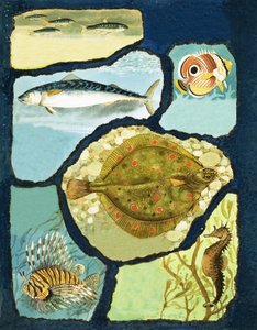 Comment les poissons échappent à leurs ennemis