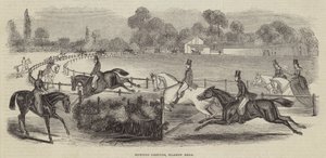 Terrains de chasse, Harrow Road - English School