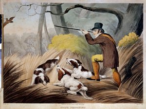 Chasse à la bécasse en Angleterre. Gravure aquarelle du 19ème siècle. Gien, musée de la chasse. - English School