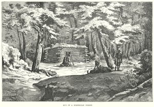 Cabane dans une forêt norvégienne (gravure) - English School